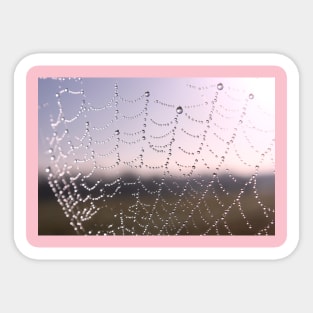 Sunset Raindrops Sticker